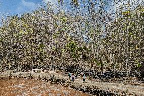 Indonesian Villagers Needed Clean Water During Drought Season