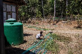 Indonesian Villagers Needed Clean Water During Drought Season