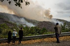 Forest Fire Burns 180 Hectares - Spain