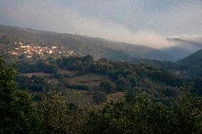 Forest Fire Burns 180 Hectares - Spain