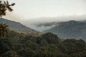 Forest Fire Burns 180 Hectares - Spain