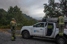 Forest Fire Burns 180 Hectares - Spain