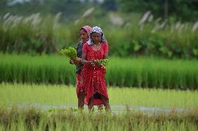 Daily Life In India