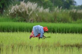 Daily Life In India