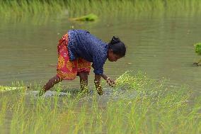 Daily Life In India