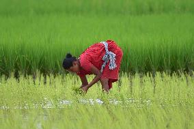 Daily Life In India