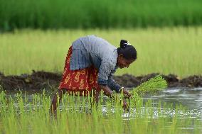 Daily Life In India