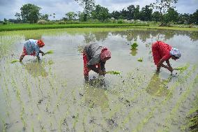 Daily Life In India