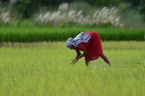 Daily Life In India