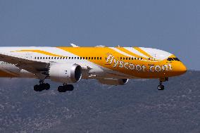 SCOOT Boeing 787 Dreamliner Landing