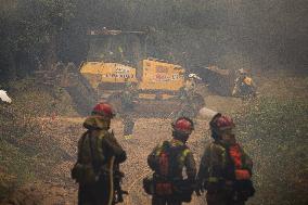 Forest Fire Burns 180 Hectares - Spain