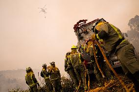 Forest Fire Burns 180 Hectares - Spain