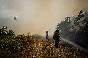 Forest Fire Burns 180 Hectares - Spain