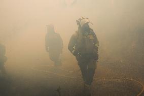 Forest Fire Burns 180 Hectares - Spain