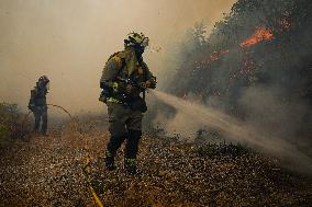 Forest Fire Burns 180 Hectares - Spain