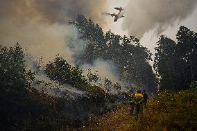 Forest Fire Burns 180 Hectares - Spain