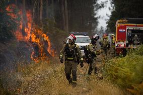 Forest Fire Burns 180 Hectares - Spain