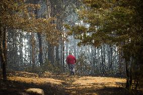 Forest Fire Burns 180 Hectares - Spain