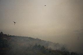 Forest Fire Burns 180 Hectares - Spain