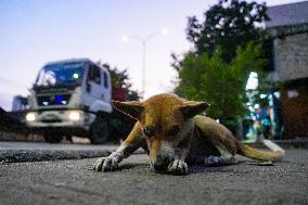 Daily Life In Colombo