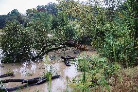 Storm And Flooding Of Ponte Lambro In Milan