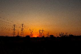 High Voltage Pylons During Sunset Time