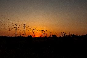 High Voltage Pylons During Sunset Time