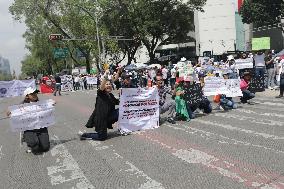 Judiciary Workers Protest Against Lopez Obrador’s Judicial Reform