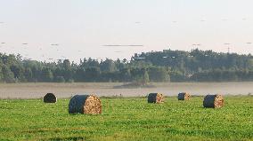 Rural landscape