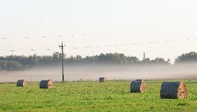 Rural landscape