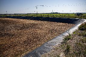 EKT Ecobio biogas plant