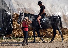 Ukrainian soldiers visit stable in Kharkiv region