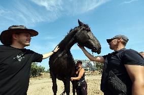 Ukrainian soldiers visit stable in Kharkiv region