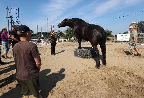 Ukrainian soldiers visit stable in Kharkiv region