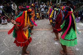 Colombian Government Annouces Return of Embera Communities in Bogota, to their Terrotories