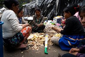 Colombian Government Annouces Return of Embera Communities in Bogota, to their Terrotories