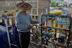 Indonesian Melon Farmers Using Internet-enabled Cropp Patterns In Malang Distric