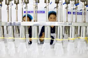 PVC Gloves Producing in Suqian