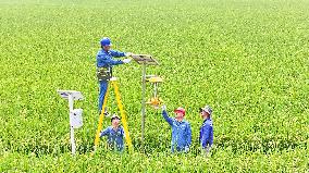 Intelligent Farmland Construction in Chuzhou