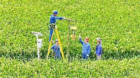 Intelligent Farmland Construction in Chuzhou