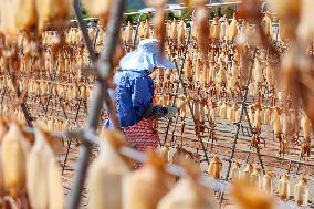 Seafood Food Processing