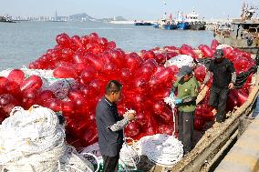 Coastal Aquaculture Area in Lianyungang