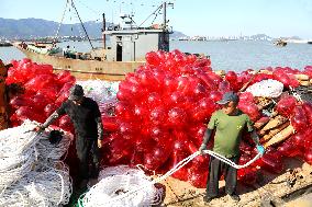 Coastal Aquaculture Area in Lianyungang