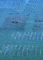 Coastal Aquaculture Area in Lianyungang