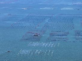 Coastal Aquaculture Area in Lianyungang