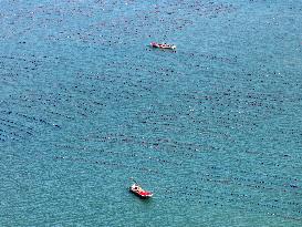 Coastal Aquaculture Area in Lianyungang