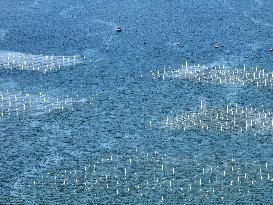 Coastal Aquaculture Area in Lianyungang