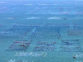 Coastal Aquaculture Area in Lianyungang