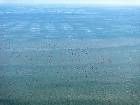 Coastal Aquaculture Area in Lianyungang