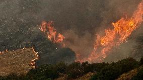 Line Fire Rages In San Bernardino County - California